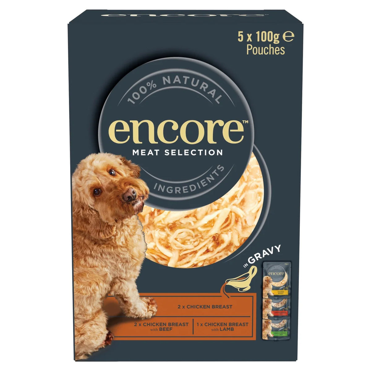 Encore Natural Wet Dog Food Multipack Meat Selection Pouches in Gravy 5 x 100g