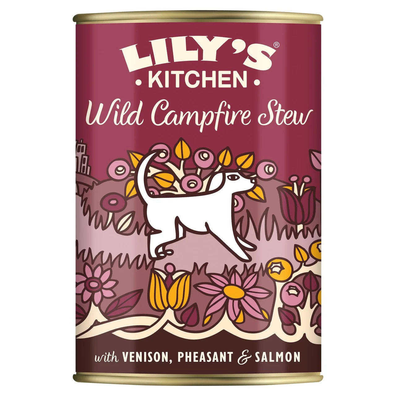 Lily's Kitchen Wild Campfire Stew for Dogs 400g