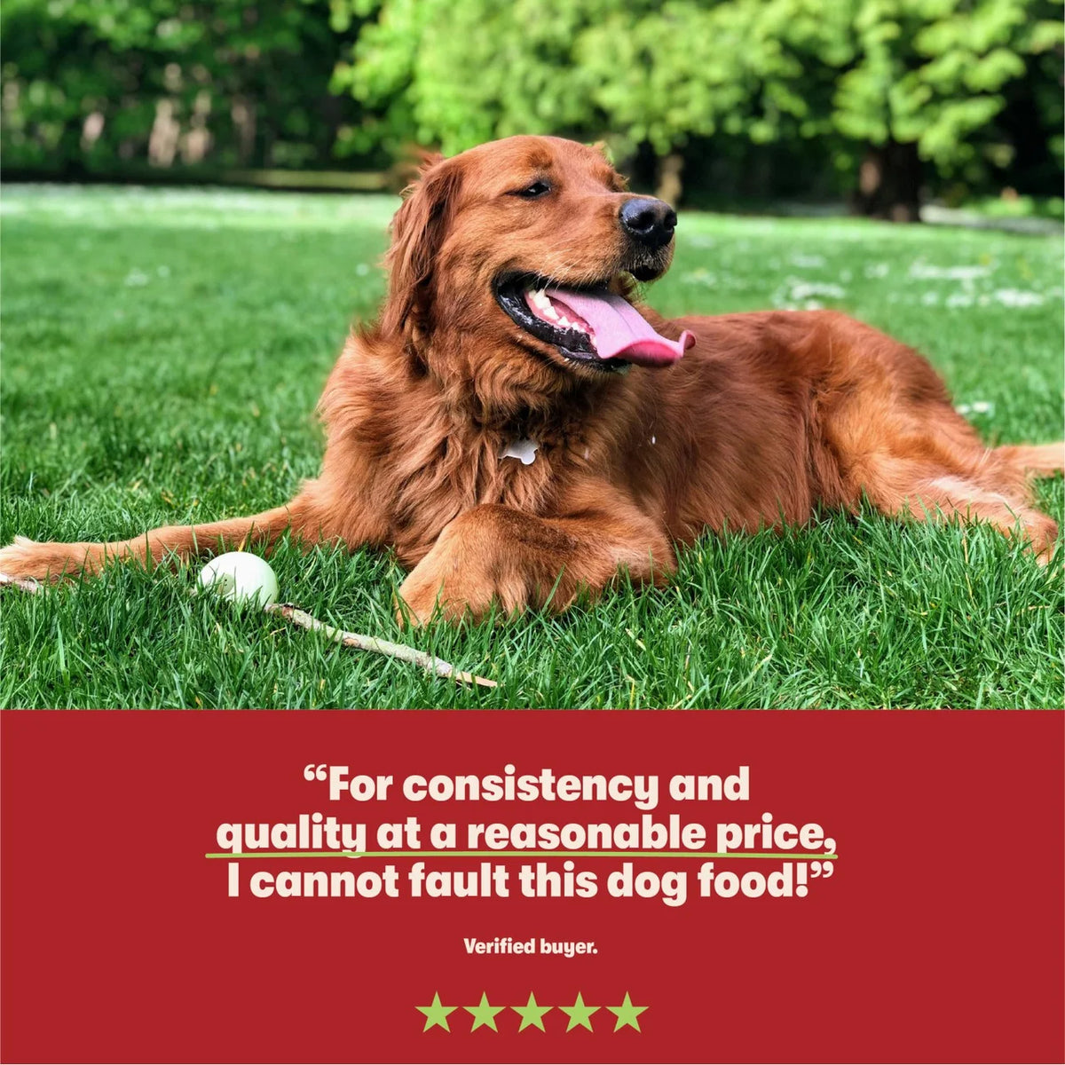 Harringtons Wet Dog Classics 16 x 400g