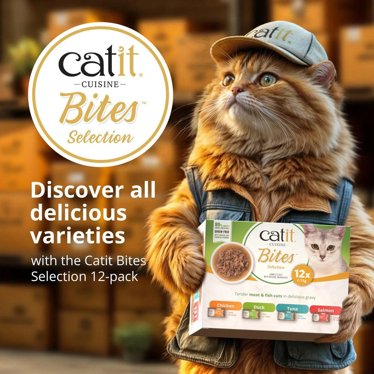 Catit Cuisine Bites Salmon 75g