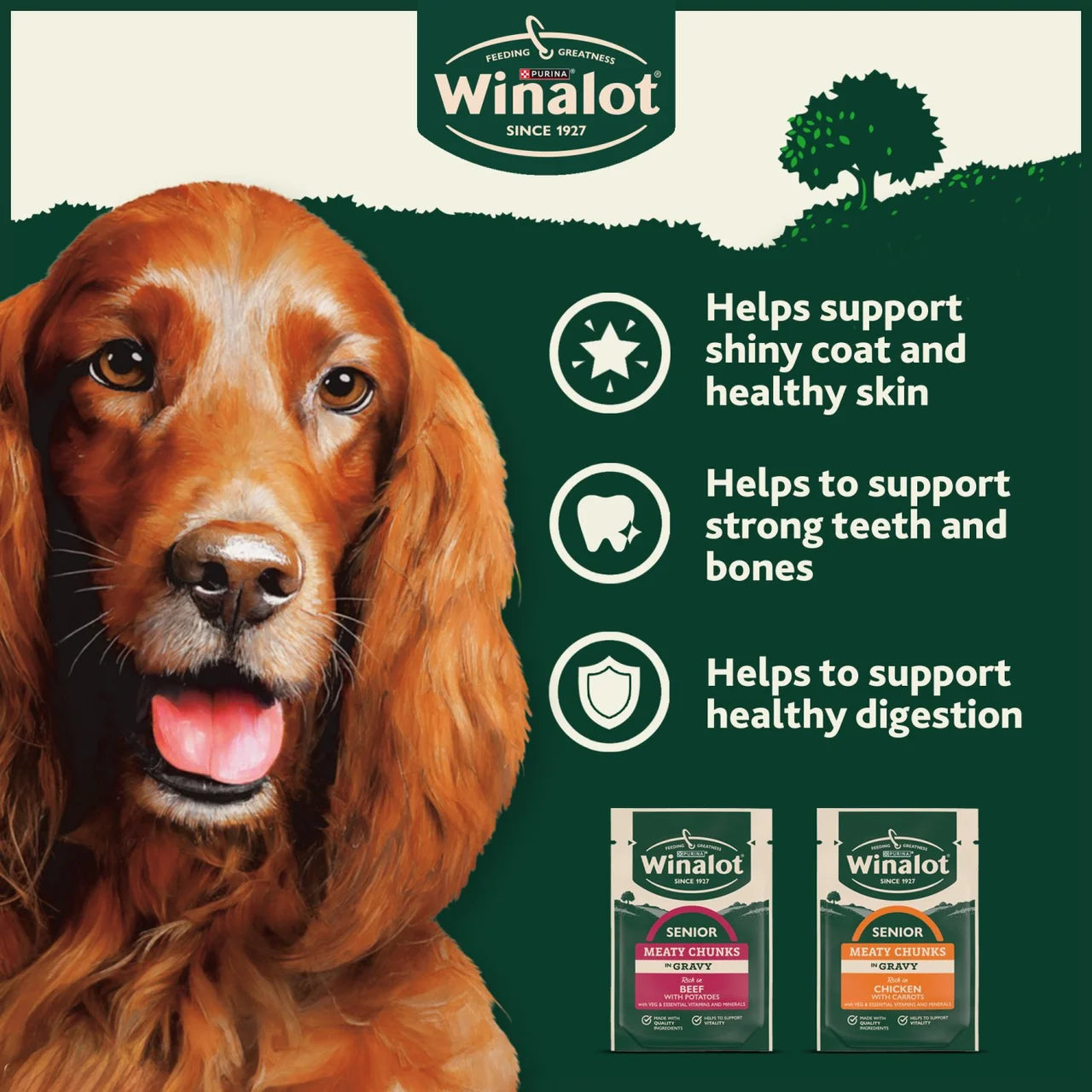 Winalot Meaty Chunks Senior Mixed in Gravy Wet Dog Food 12x100g