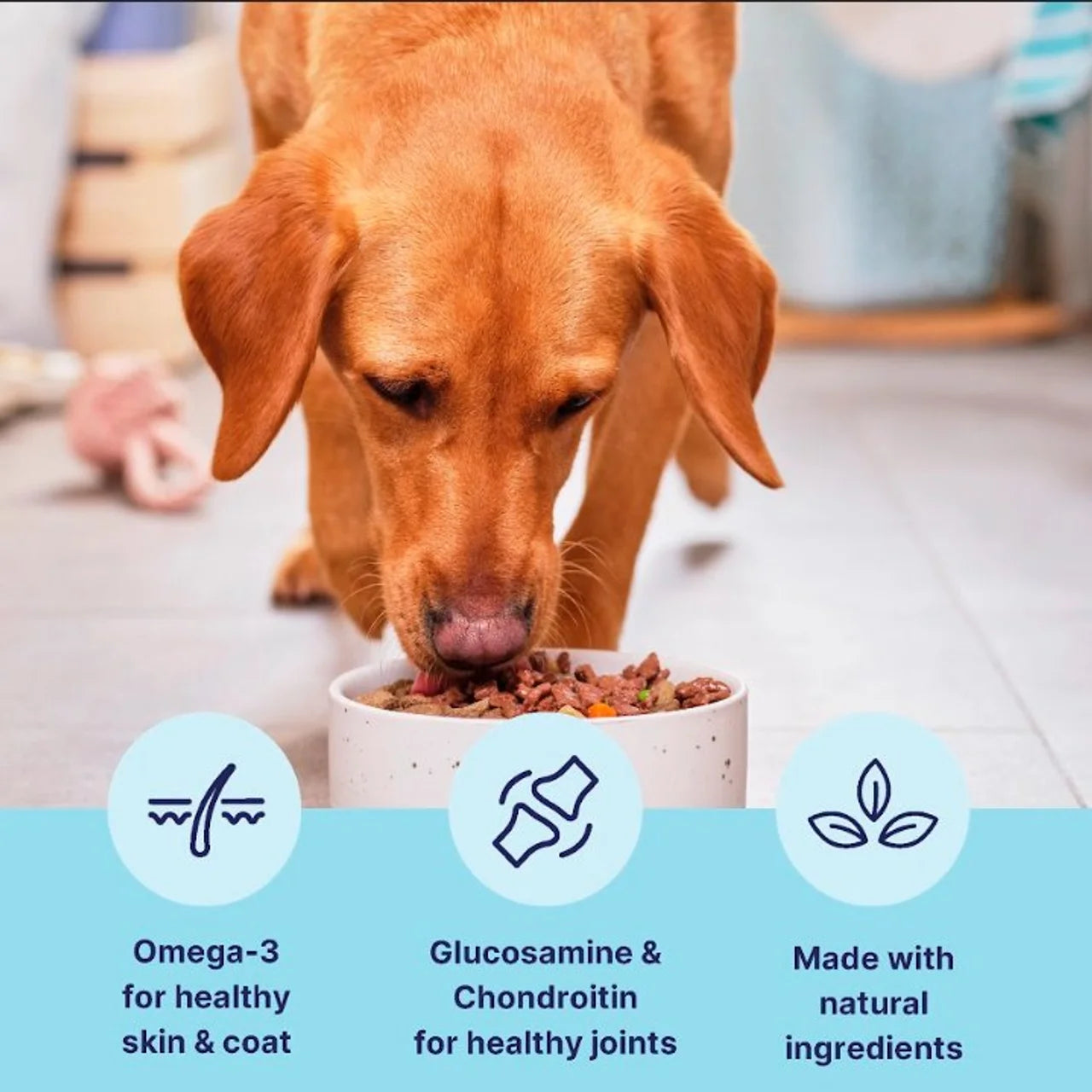 Tails.com Inner Vitality Mature Dog Wet Food Chicken 150g