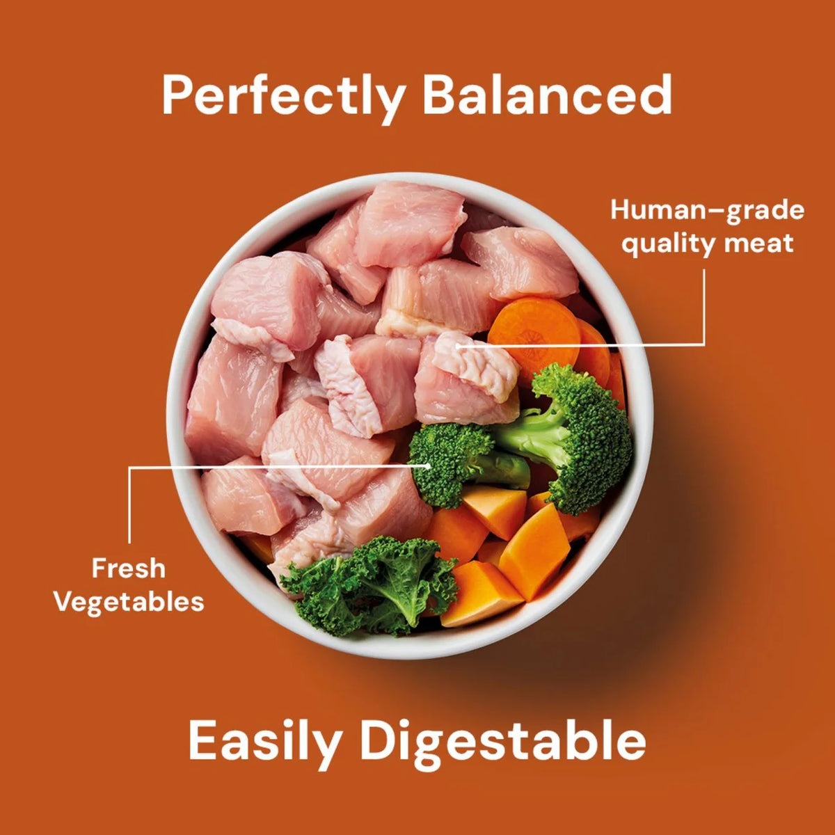 Nutriment Turkey Formula Raw Dog Food 500g