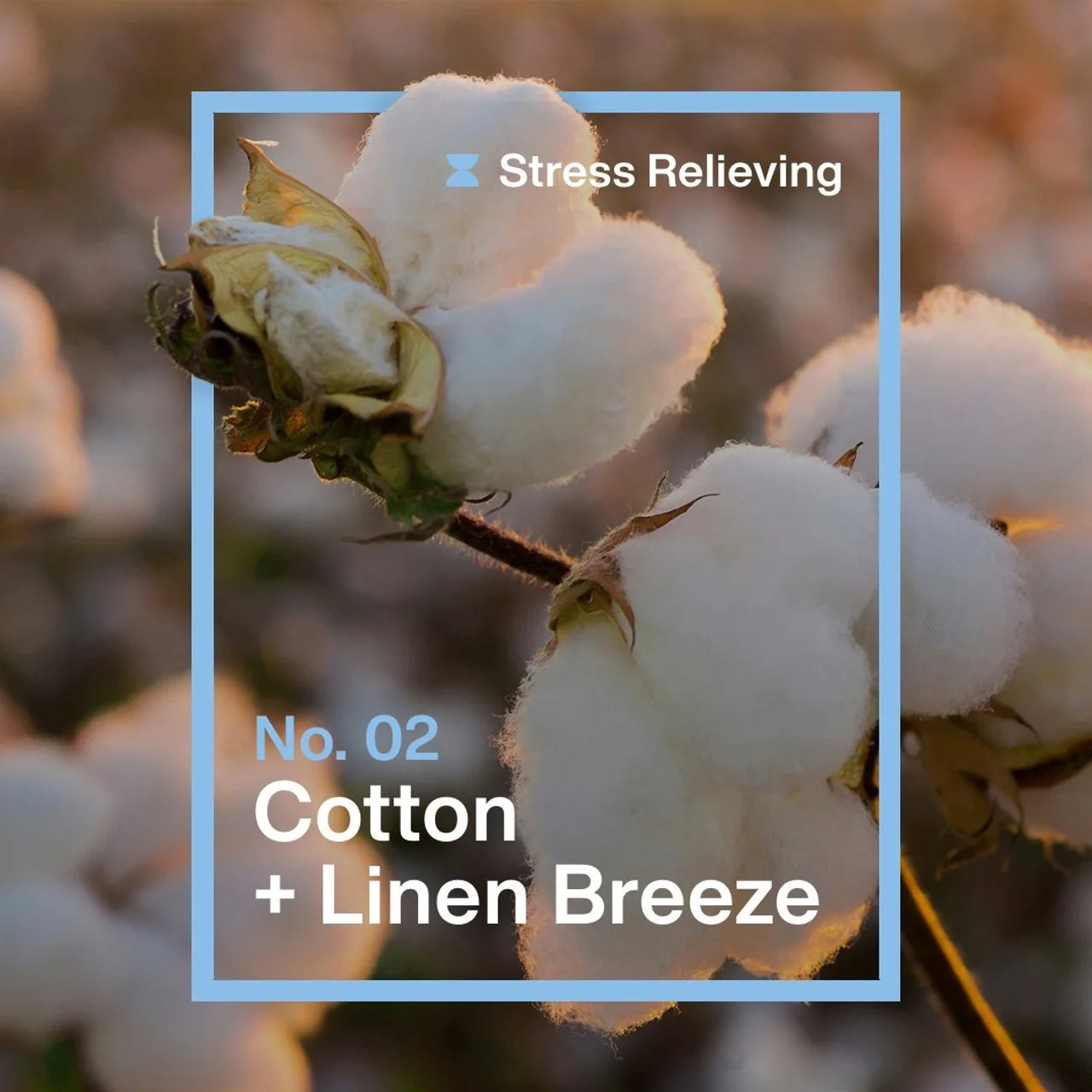 INEOS Fabric Conditioner Cotton + Linen Breeze 50 Washes 1000ml
