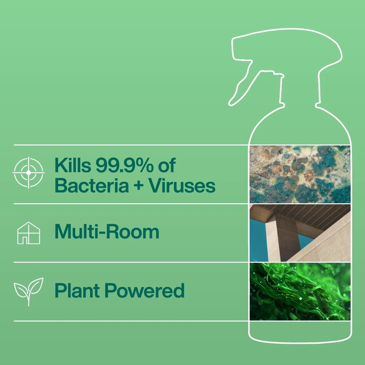 INEOS Antibac Multi-Room Cleaner Bergamot + Cedarwood 750ml