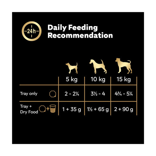 Cesar Senior Wet Dog Food Trays Meat in Delicate Jelly 8x150g