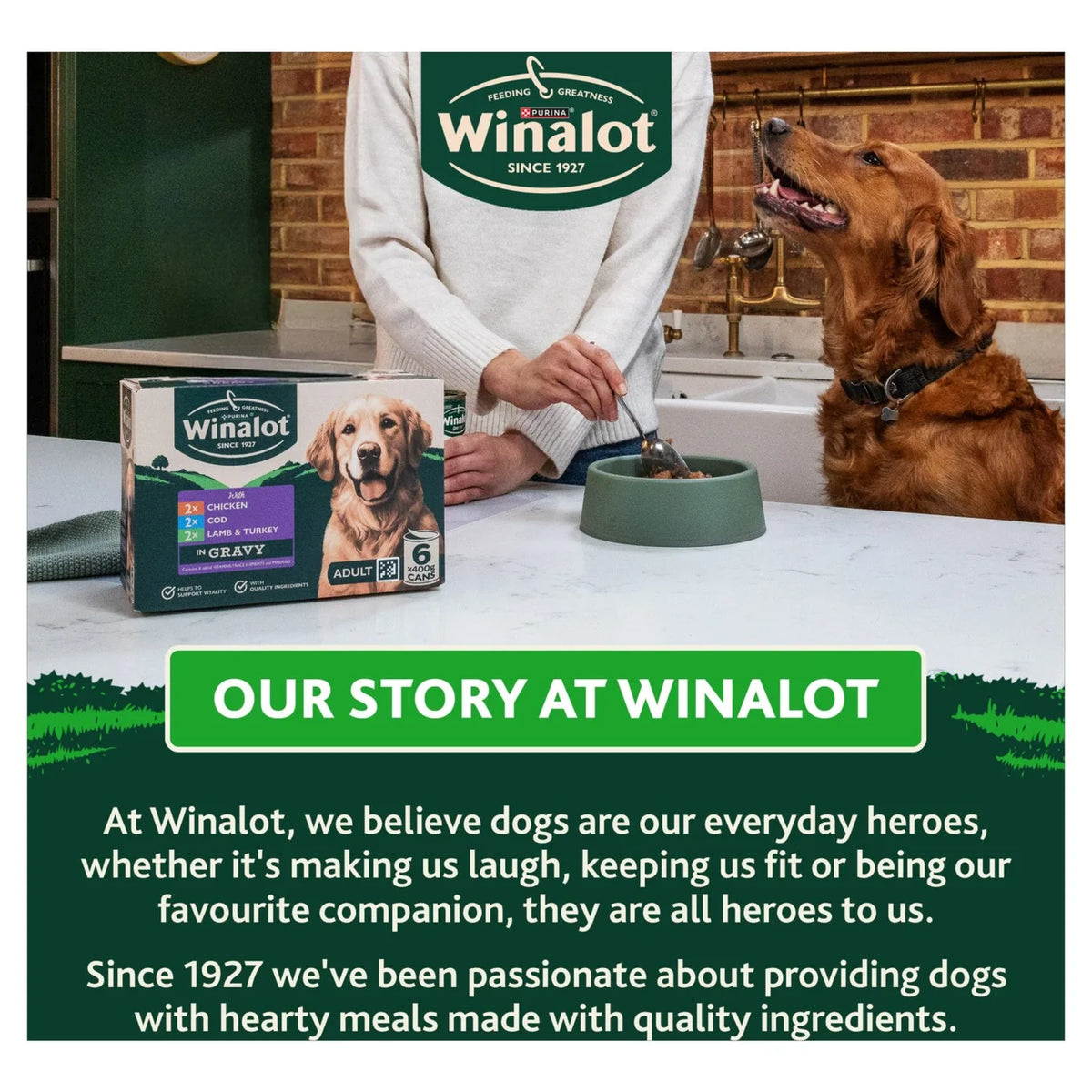 Winalot Cod in Gravy Wet Dog Food 6 x 400g