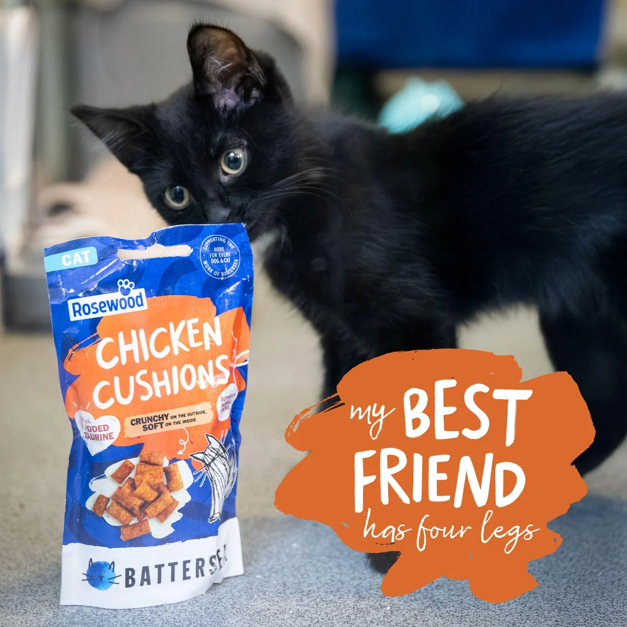 Battersea Anti-Hairball Chicken Cushions 60g