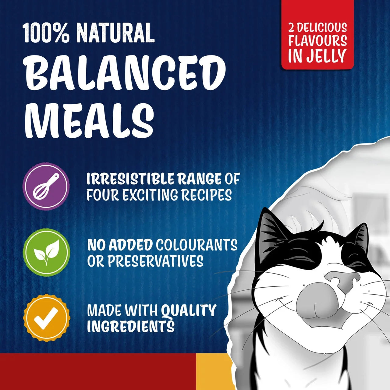FELIX Doubly Delicious Countryside Selection in Jelly Wet Cat Food 80 x 85g