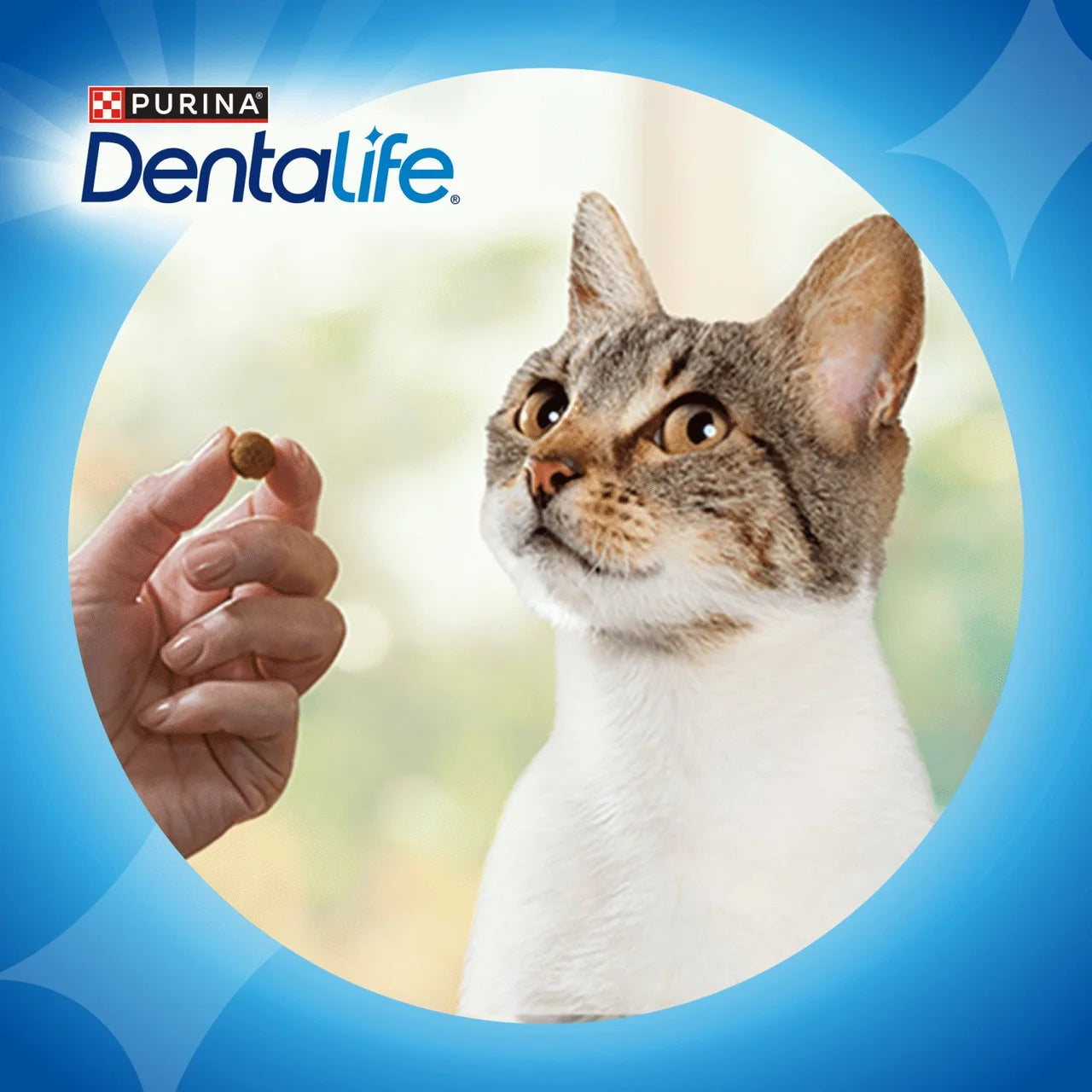 Dentalife Dental Salmon Cat Treats 40g