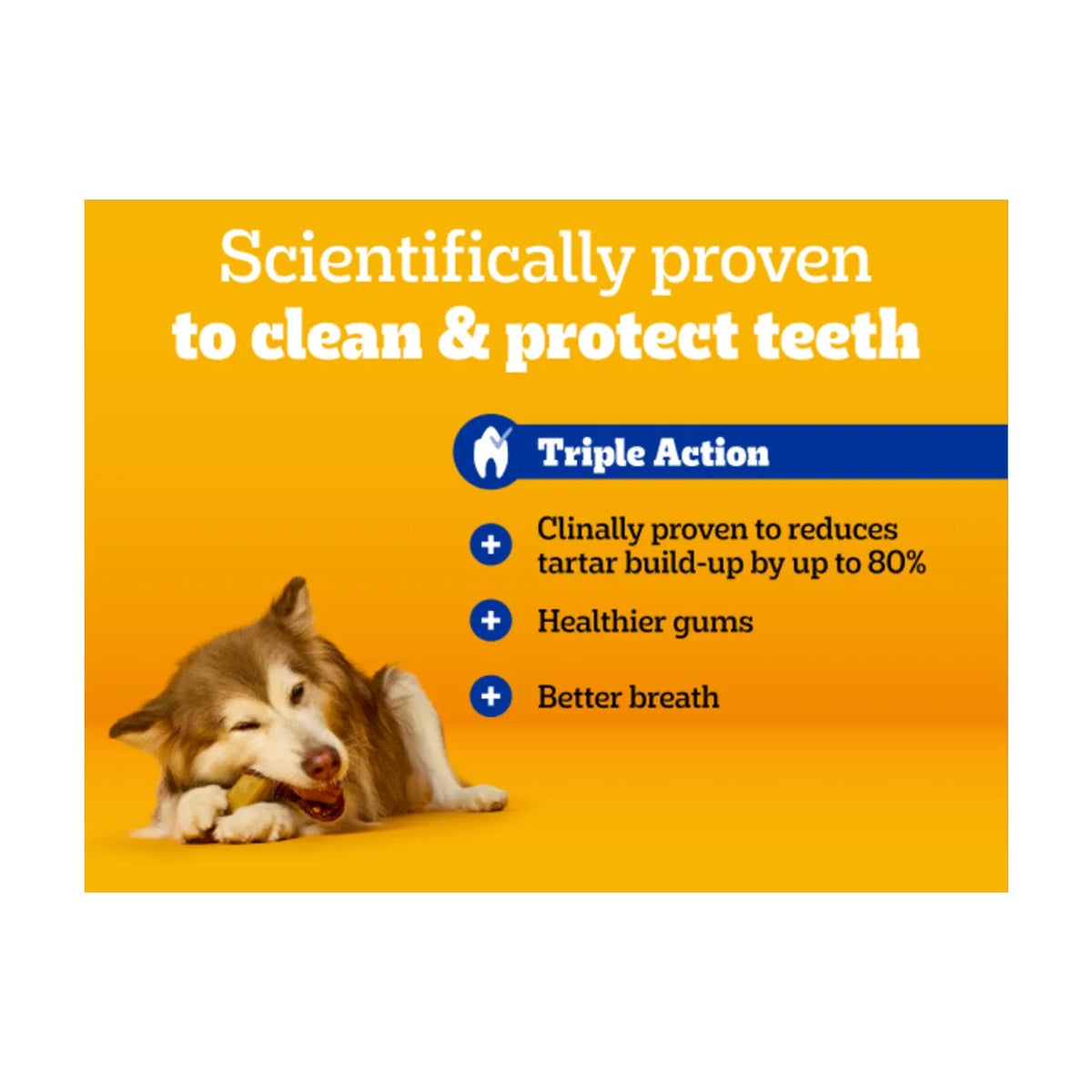 Pedigree Dentastix Daily Adult Large Dog Treats Dental Sticks 105 per pack