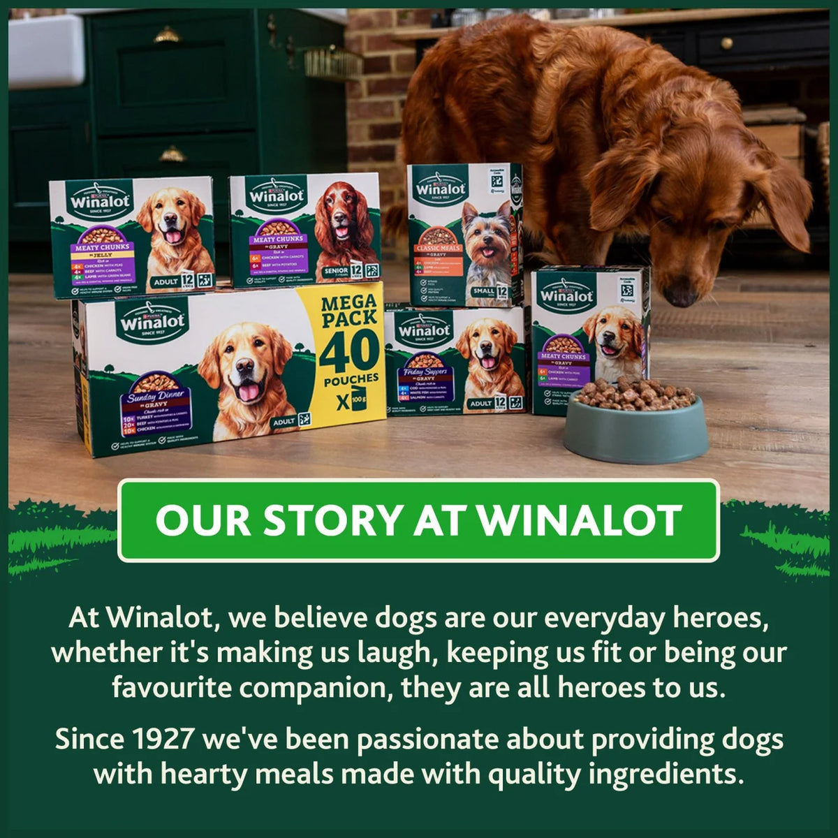 Winalot Monday Meaty Casseroles Chicken, Turkey, Duck in Gravy Wet Dog Food 40 x 85g