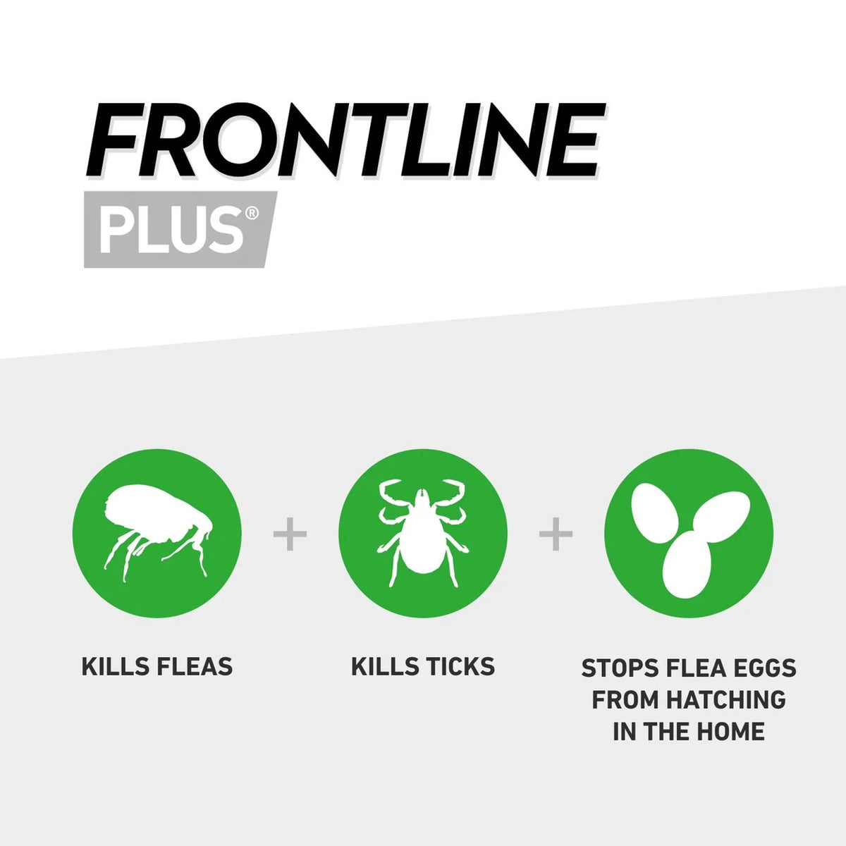FRONTLINE Plus Flea & Tick Treatment Cat 3 per pack