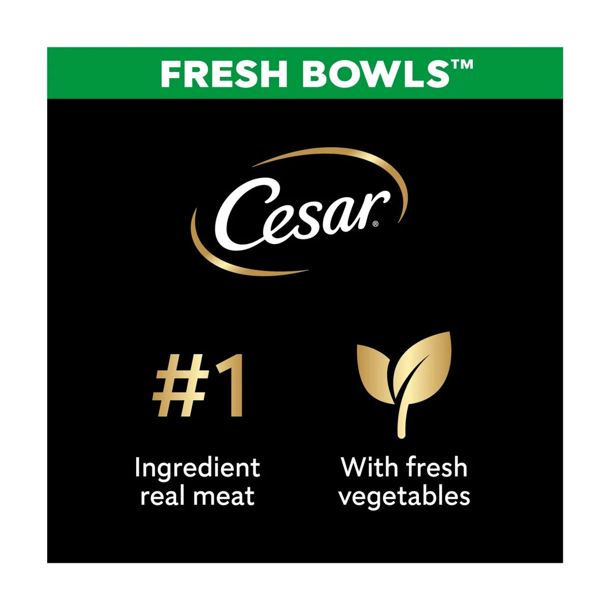 Cesar Fresh Bowl Adult Wet Dog Food Chicken & Poultry in Gravy 6 x 85g