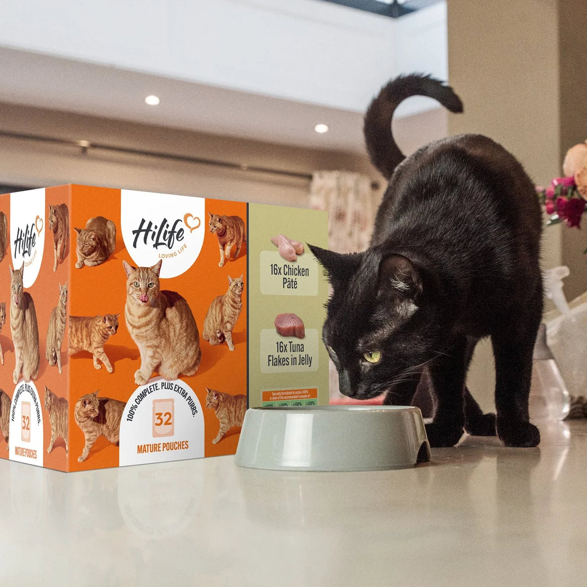 HiLife It's only Natural The Big Mature One in Jelly Wet Cat Food 32 x 70g