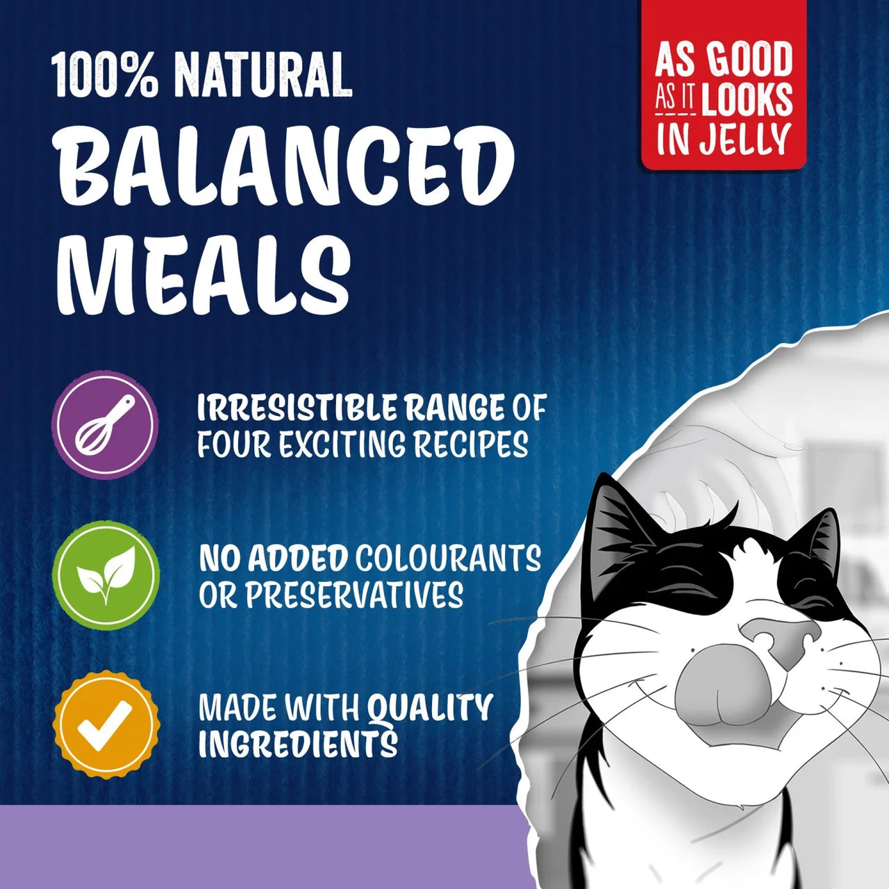 FELIX As Good As it Looks Favourites Selection Wet Cat Food 80 x 85g