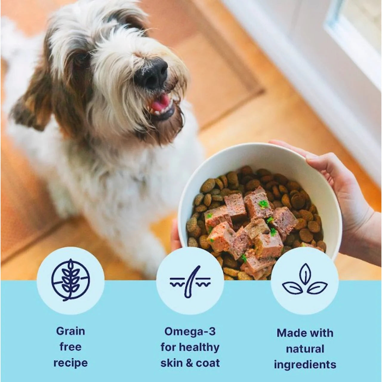 Tails.com Inner Vitality Sensitive Grain Free Dog Wet Food Chicken & Cod 150g