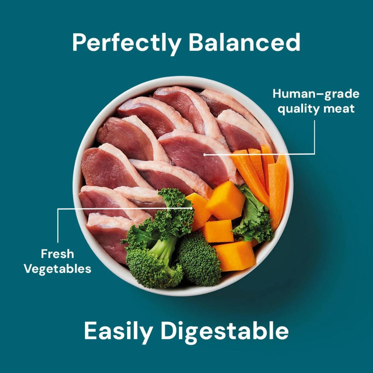 Nutriment Duck Formula Raw Dog Food 500g