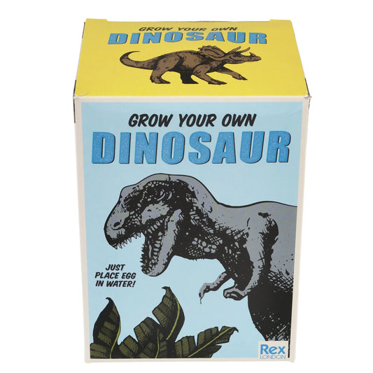 Giant Hatching Dinosaur Egg Prehistoric Land