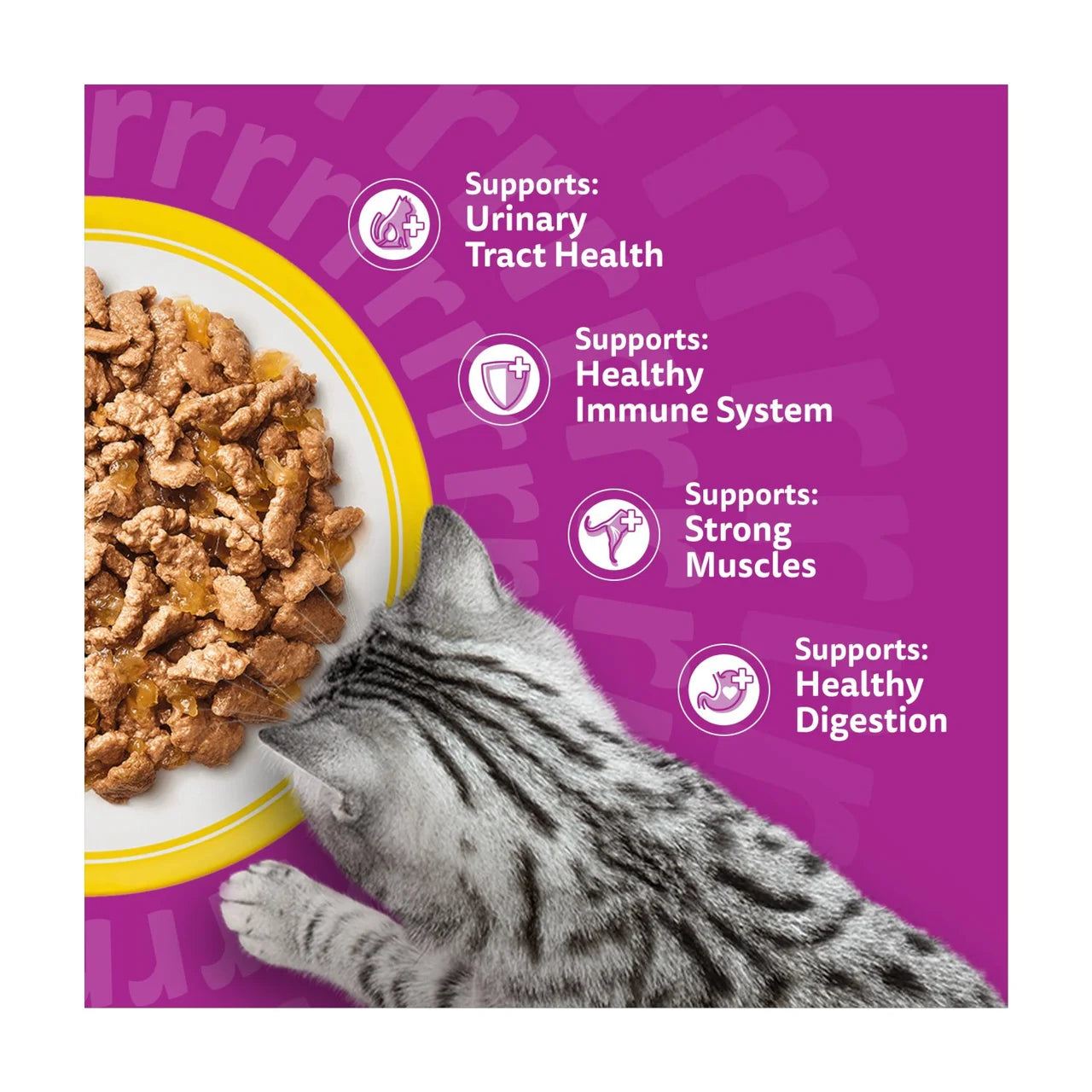 Whiskas 7+ Senior Wet Cat Food Poultry Feasts in Jelly 80 x 85g