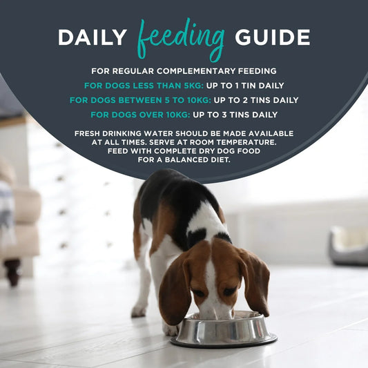 Encore Dog Tin with Chicken Fillet 156g