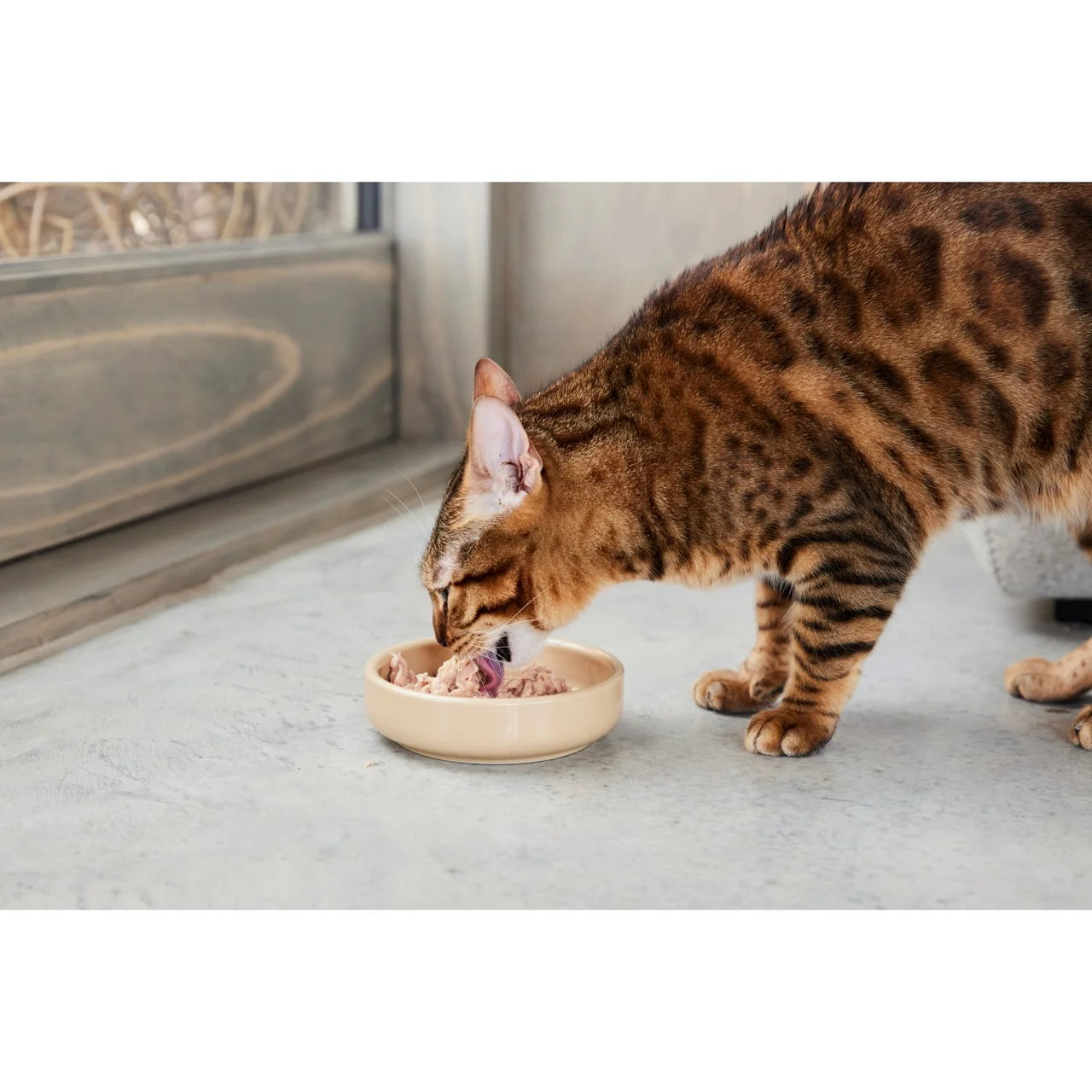 Thrive Complete Cat Food Tuna Fillet 6 x 75g