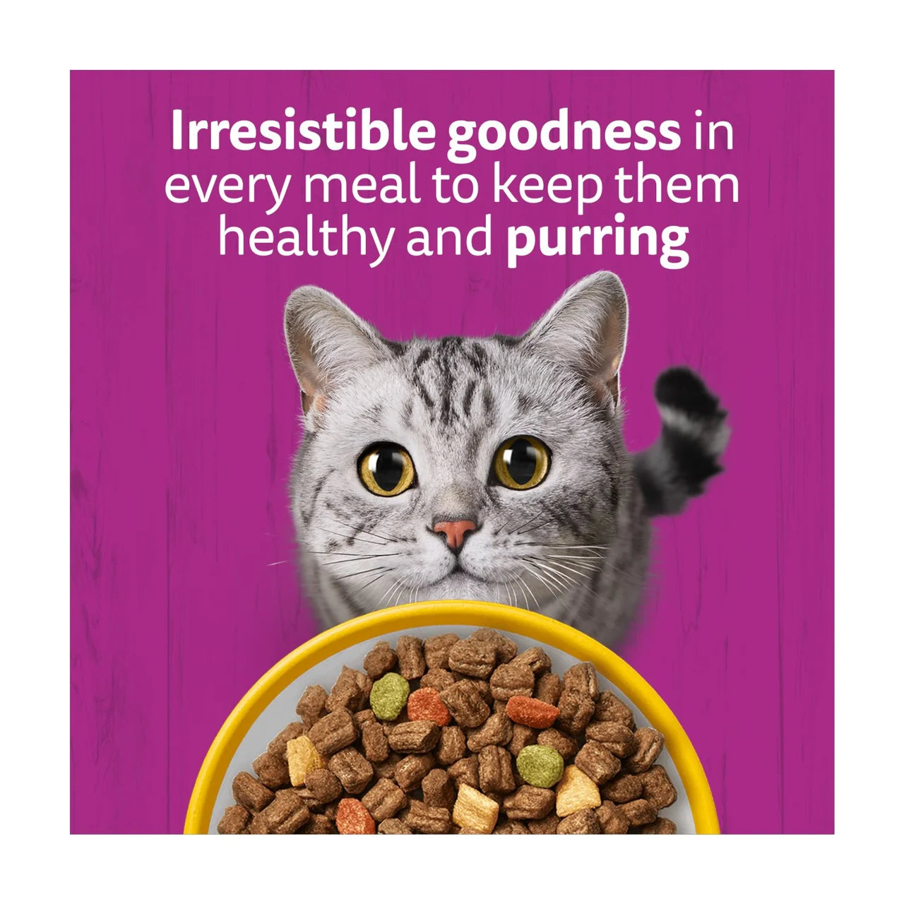 Whiskas 7+ Adult Dry Cat Food with Chicken 800g
