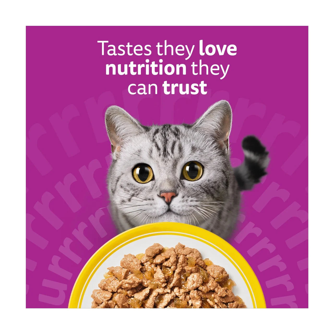Whiskas 1+ Adult Wet Cat Food Poultry Feasts in Jelly 80 x 85g