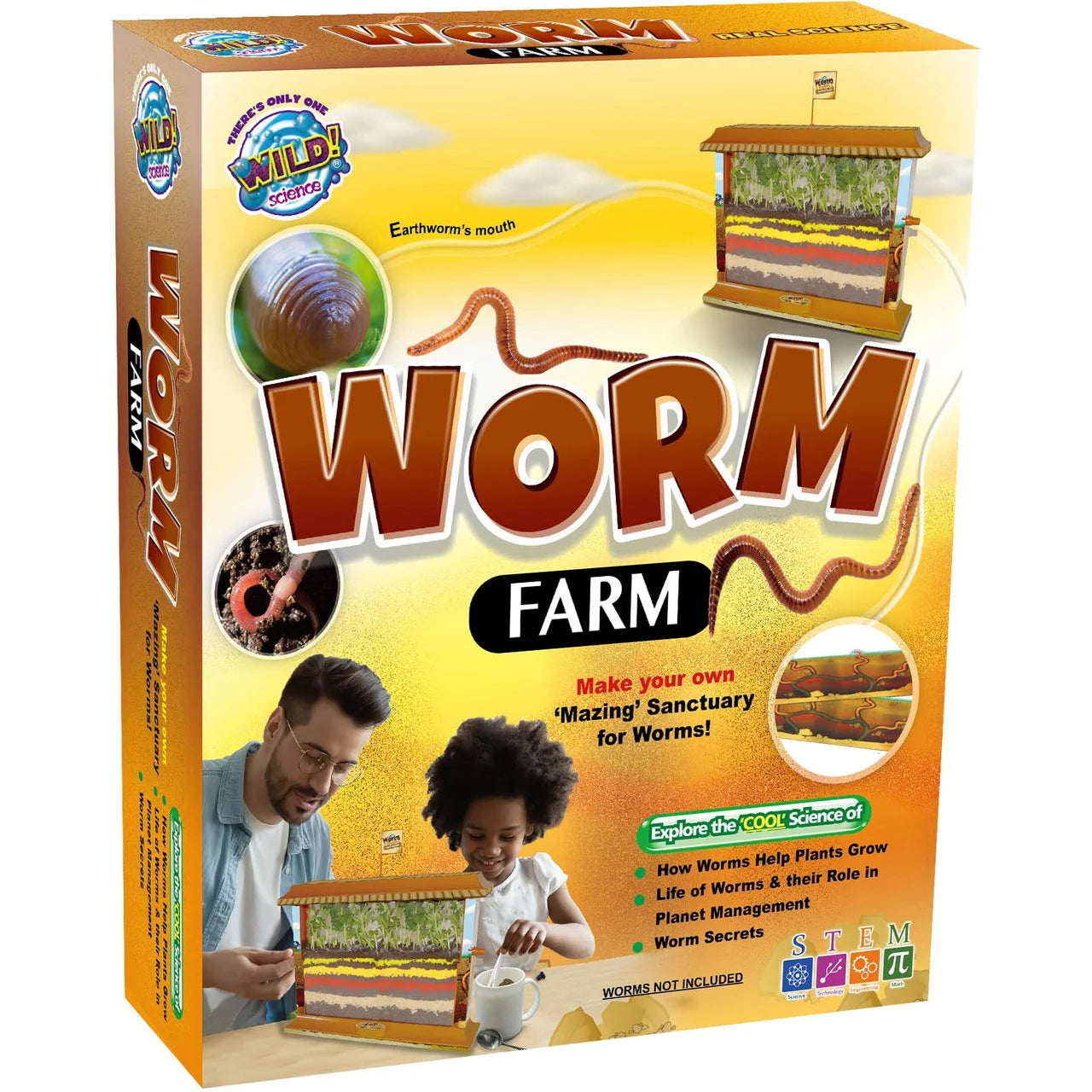 Wild Science Worm Farm