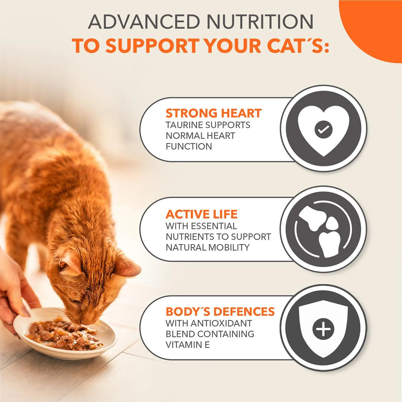 IAMS Senior Wet Cat Food Meat Variety Mix in Jelly 12 x 85g