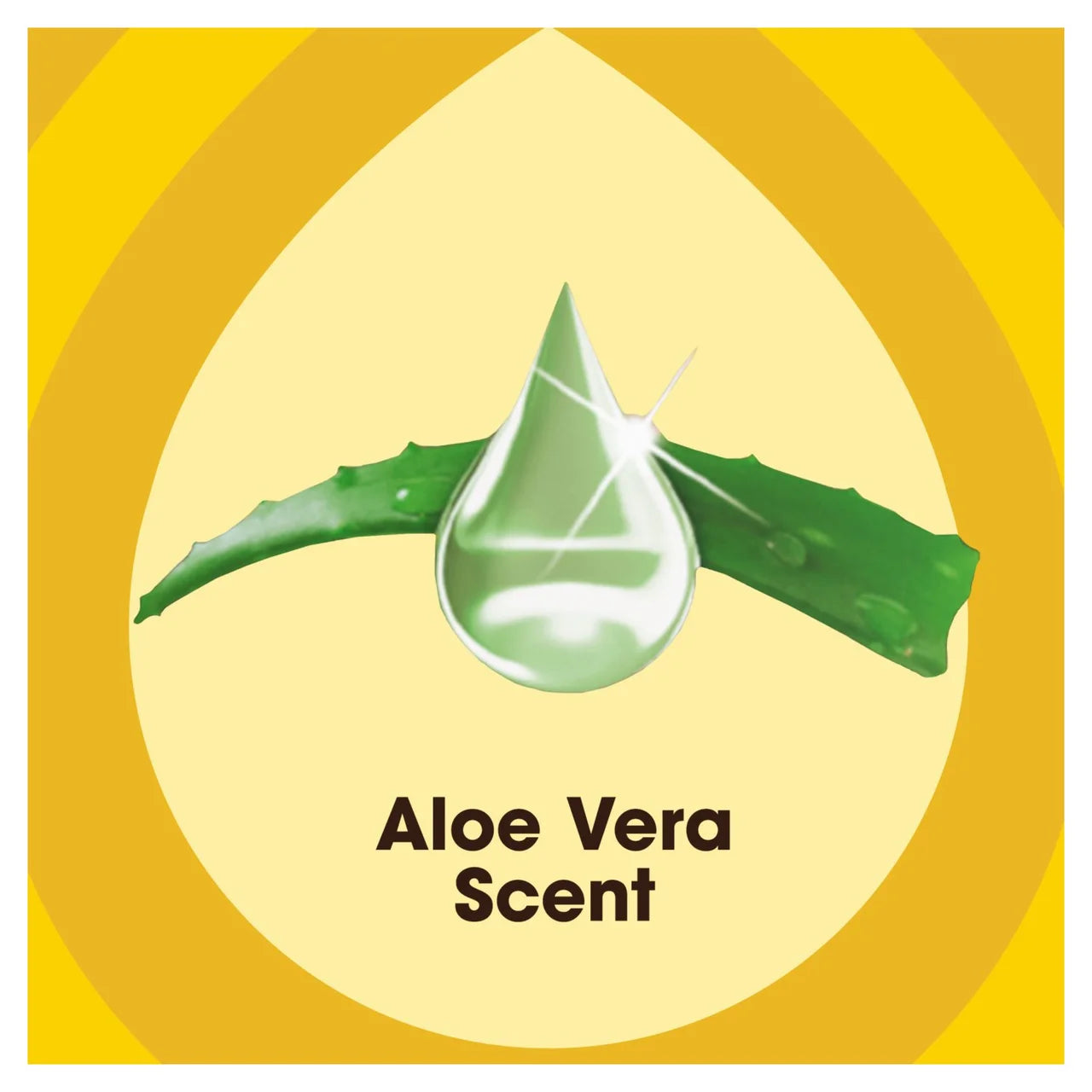 Pledge Expert Care Wood Cleaner Spray Aloe Vera 500ml