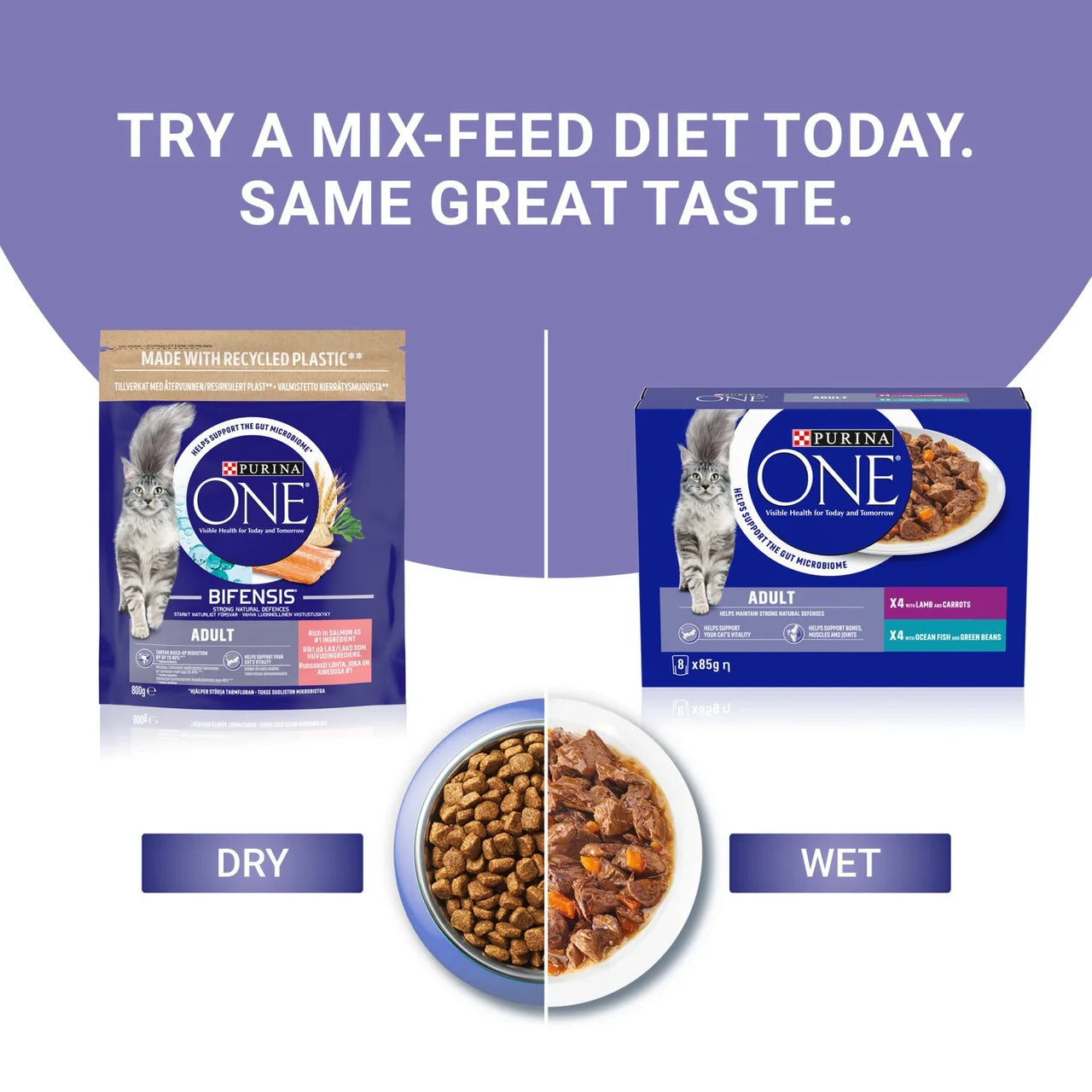 Purina One Salmon Dry Cat Food 800g