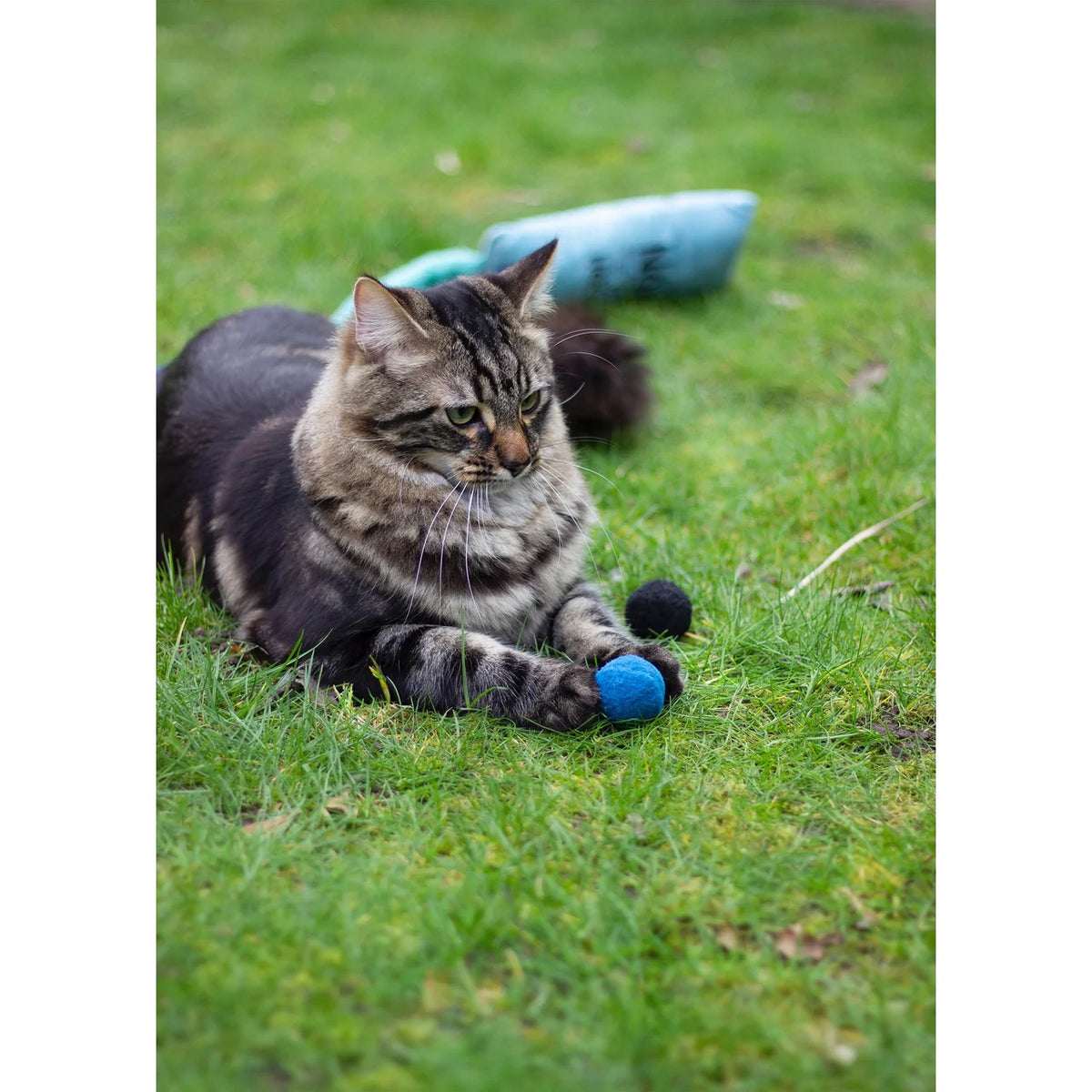 Battersea Pounce Cat Balls 4 per pack