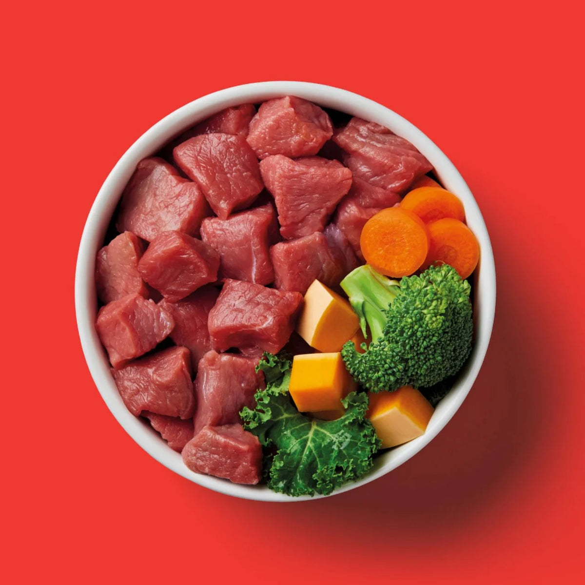 Nutriment Beef Formula Raw Dog Food 500g