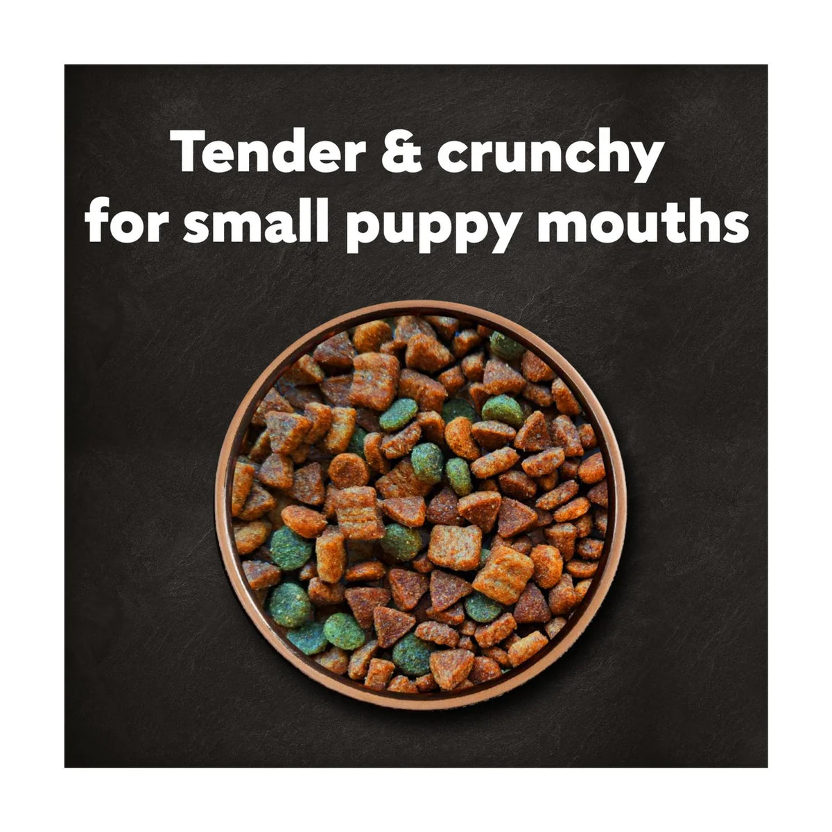Cesar Complete Dry Puppy Food with Chicken, Rice and Vegetables 1.4kg