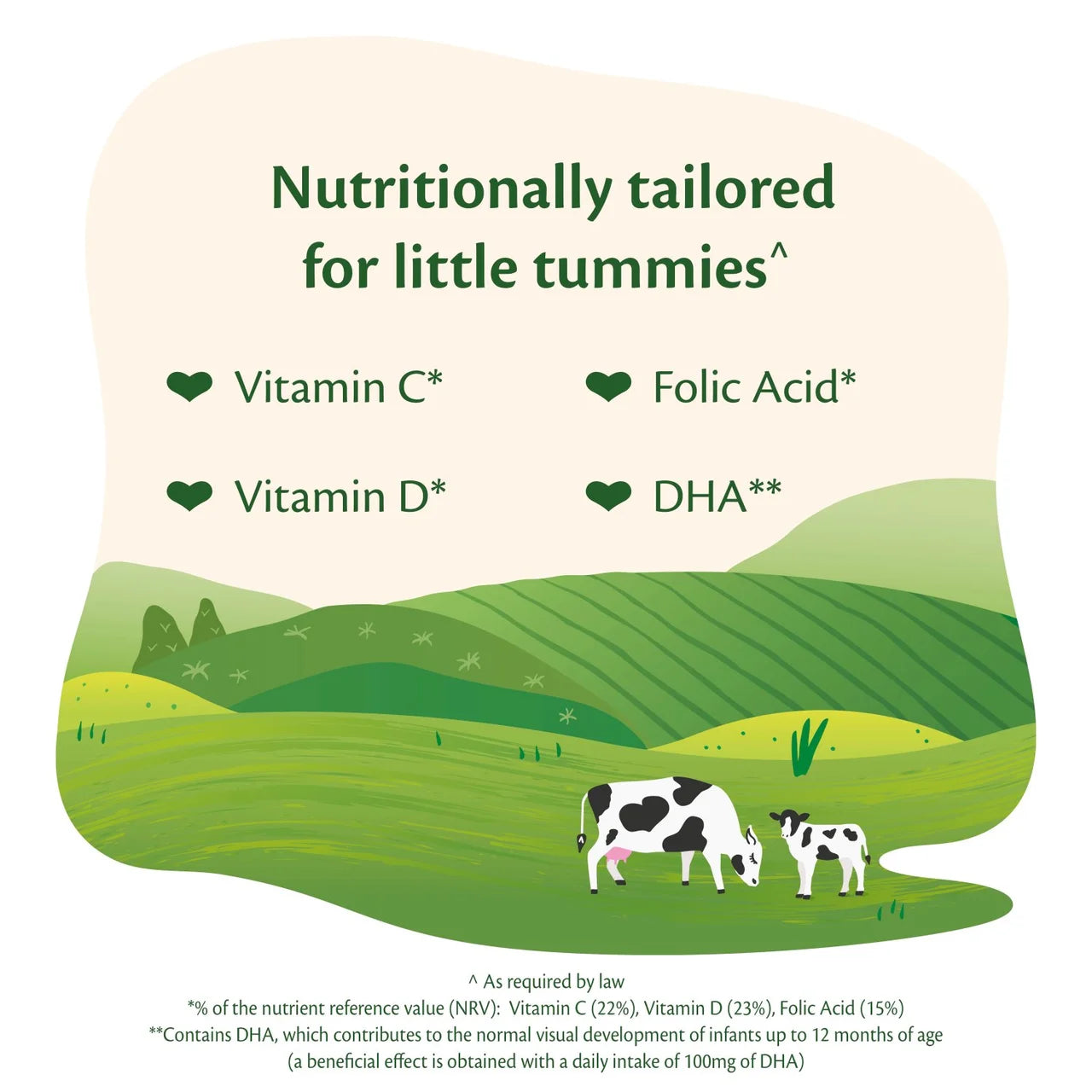 HiPP Organic 2 Follow on Baby Milk Powder Formula From 6 Months 800g