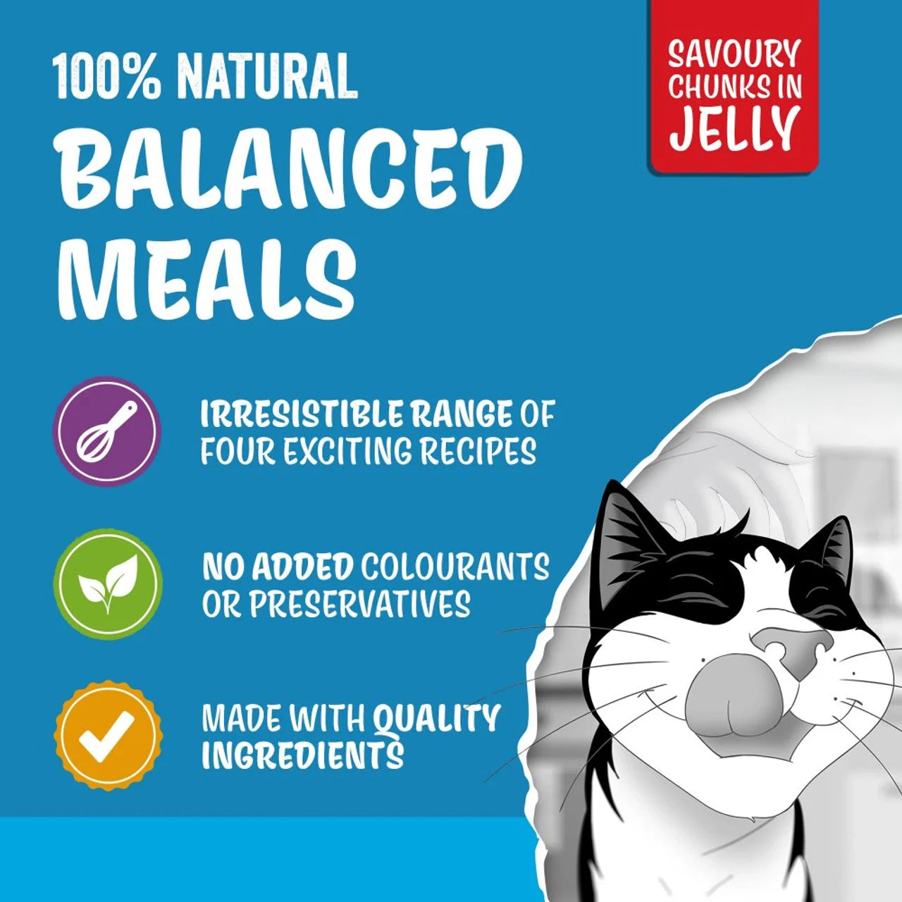 Felix Original Cat Food Fish Selection in Jelly Wet Cat Food 80 x 85g