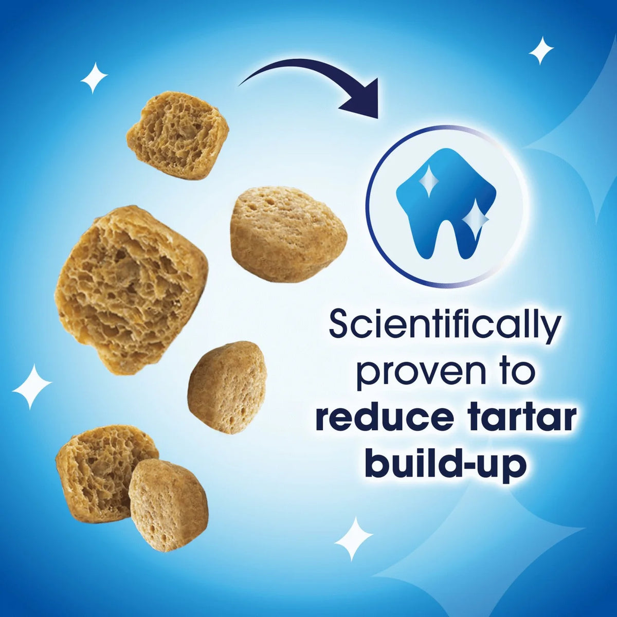 Dentalife Dental Salmon Cat Treats 40g
