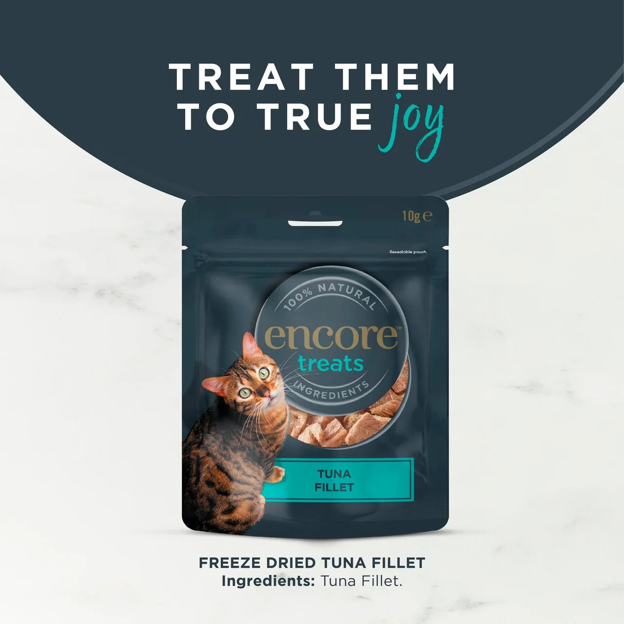 Encore Natural Freeze Dried Tuna Fillet Cat Treats 10g