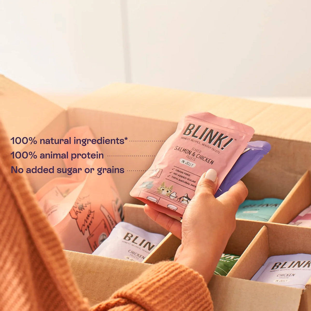 Blink! Blink Fish Fillet Selection in Jelly Multipack 40 x 85g
