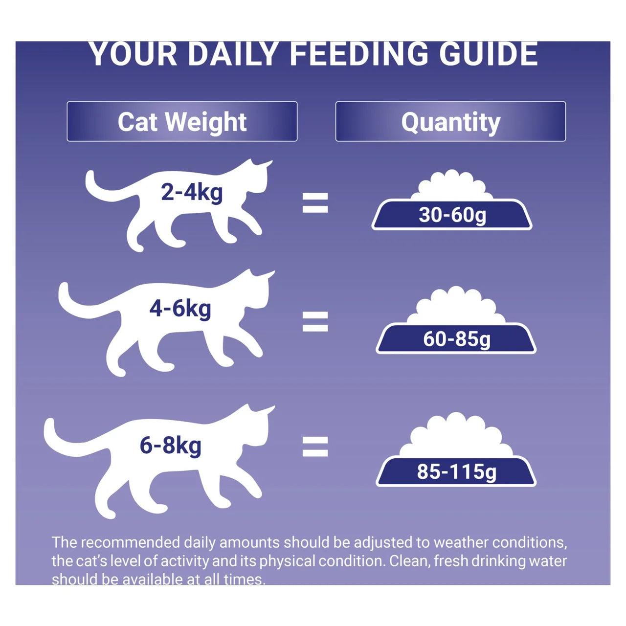 Purina One Salmon Dry Cat Food 3kg