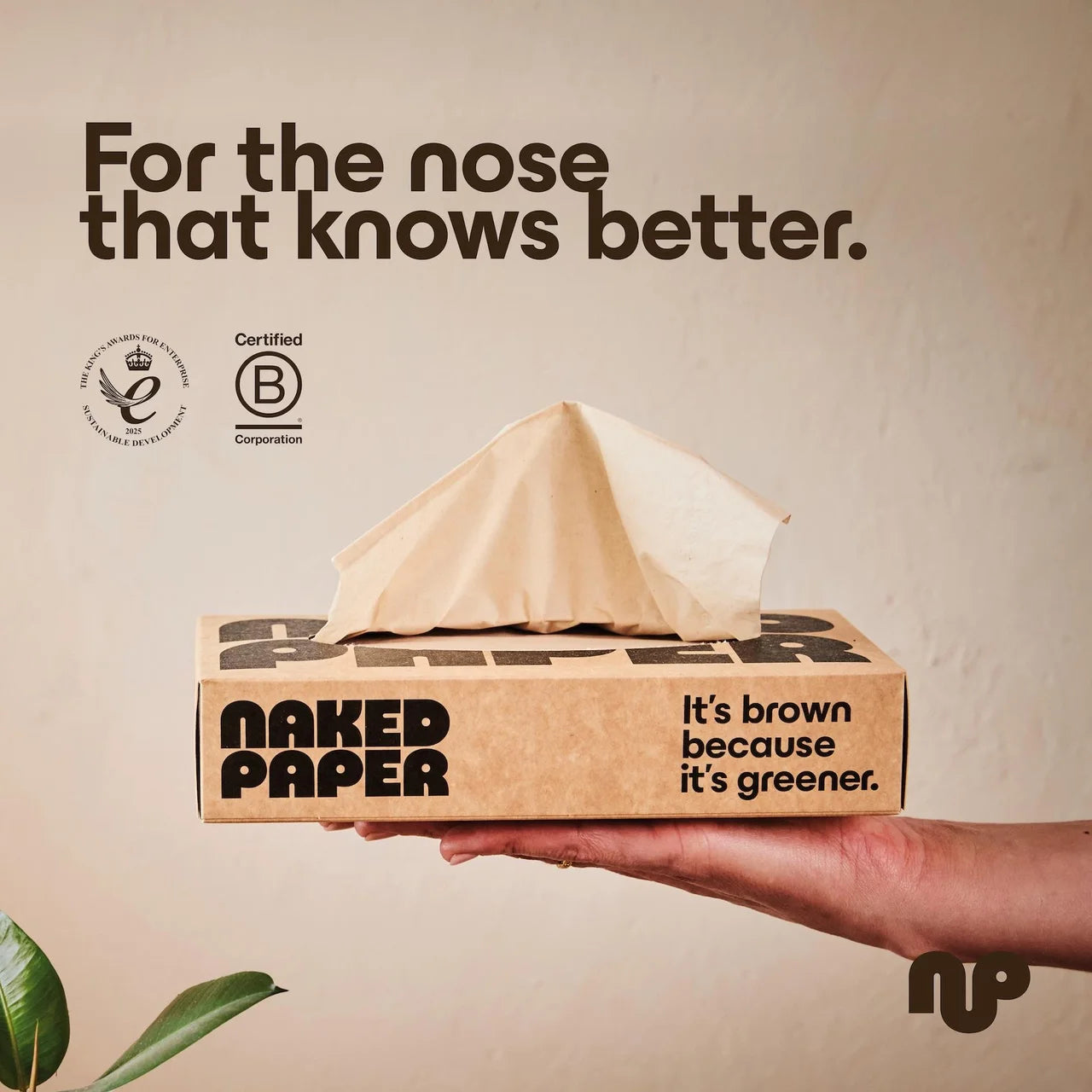 Naked Paper Unbleached Bamboo Facial Tissues 100 Sheets