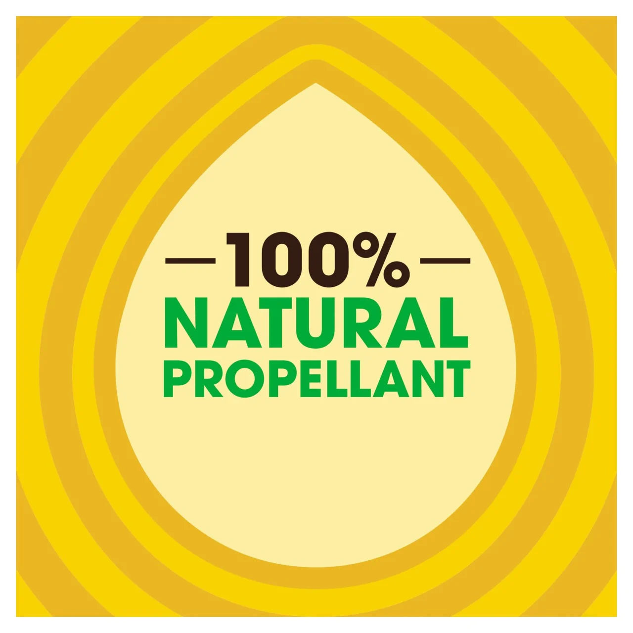 Pledge Expert Care Wood Polish 250ml