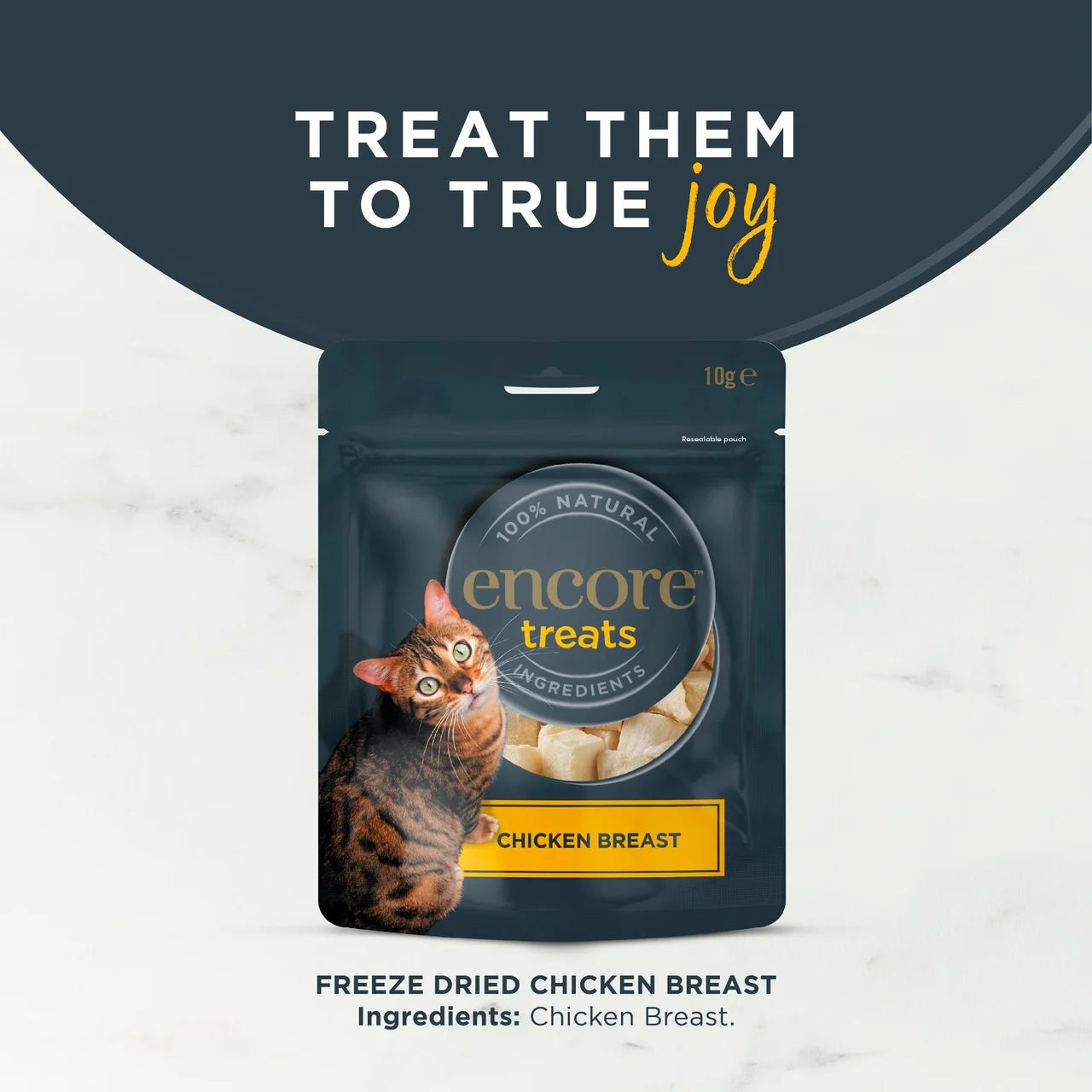 Encore Natural Freeze Dried Chicken Breast Cat Treats 10g