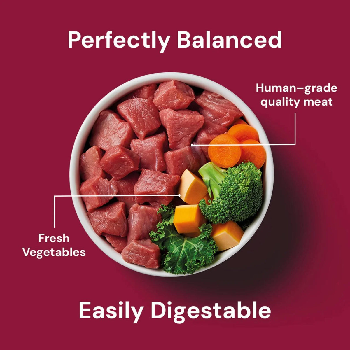 Nutriment Beef Formula Raw Dog Food 500g