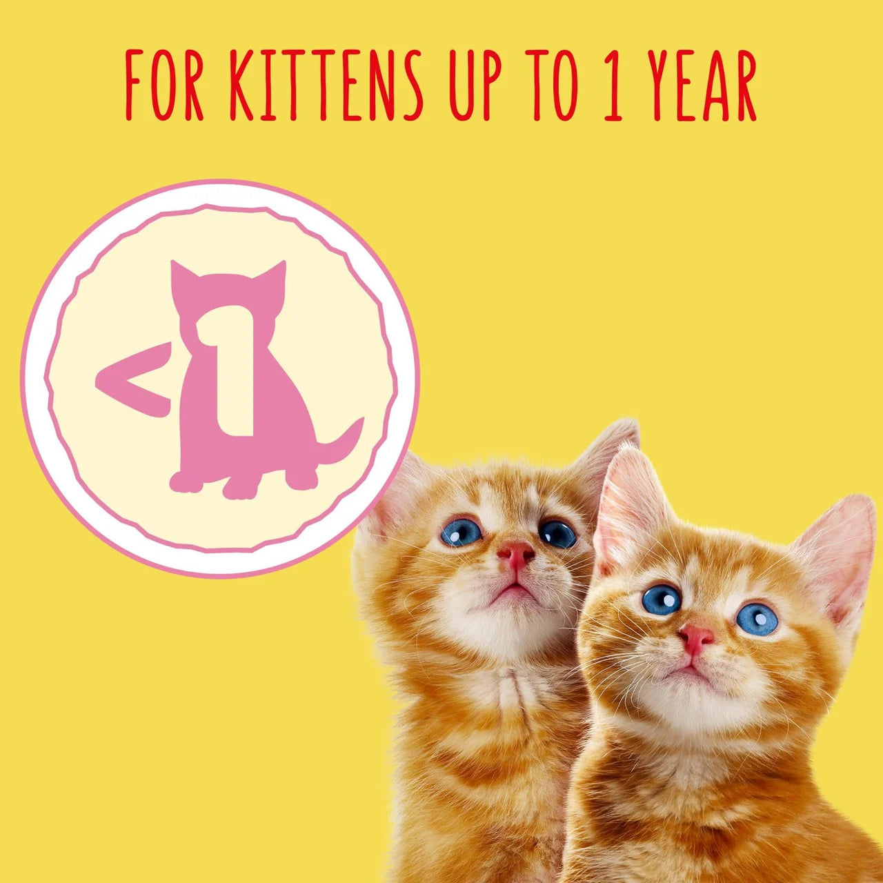 Go-Cat Kitten Chicken Turkey and Milk Dry Cat Food 750g