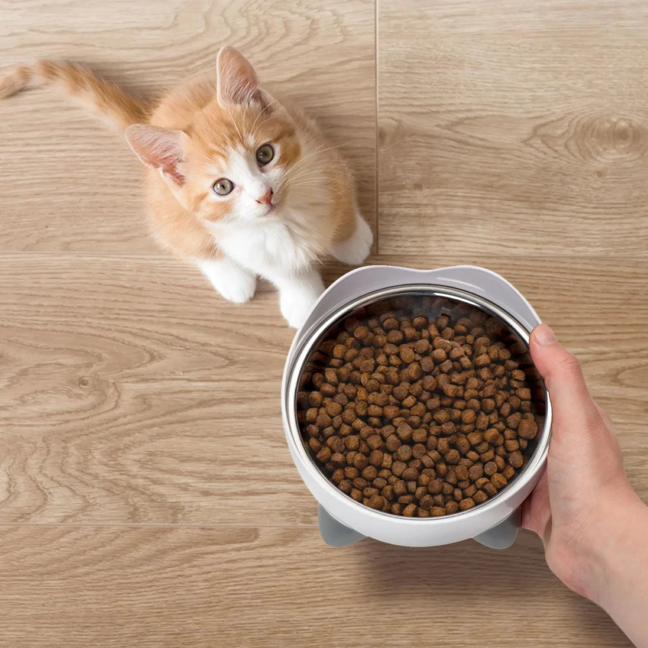 Catit Recipes Dry Kitten Poultry 2kg