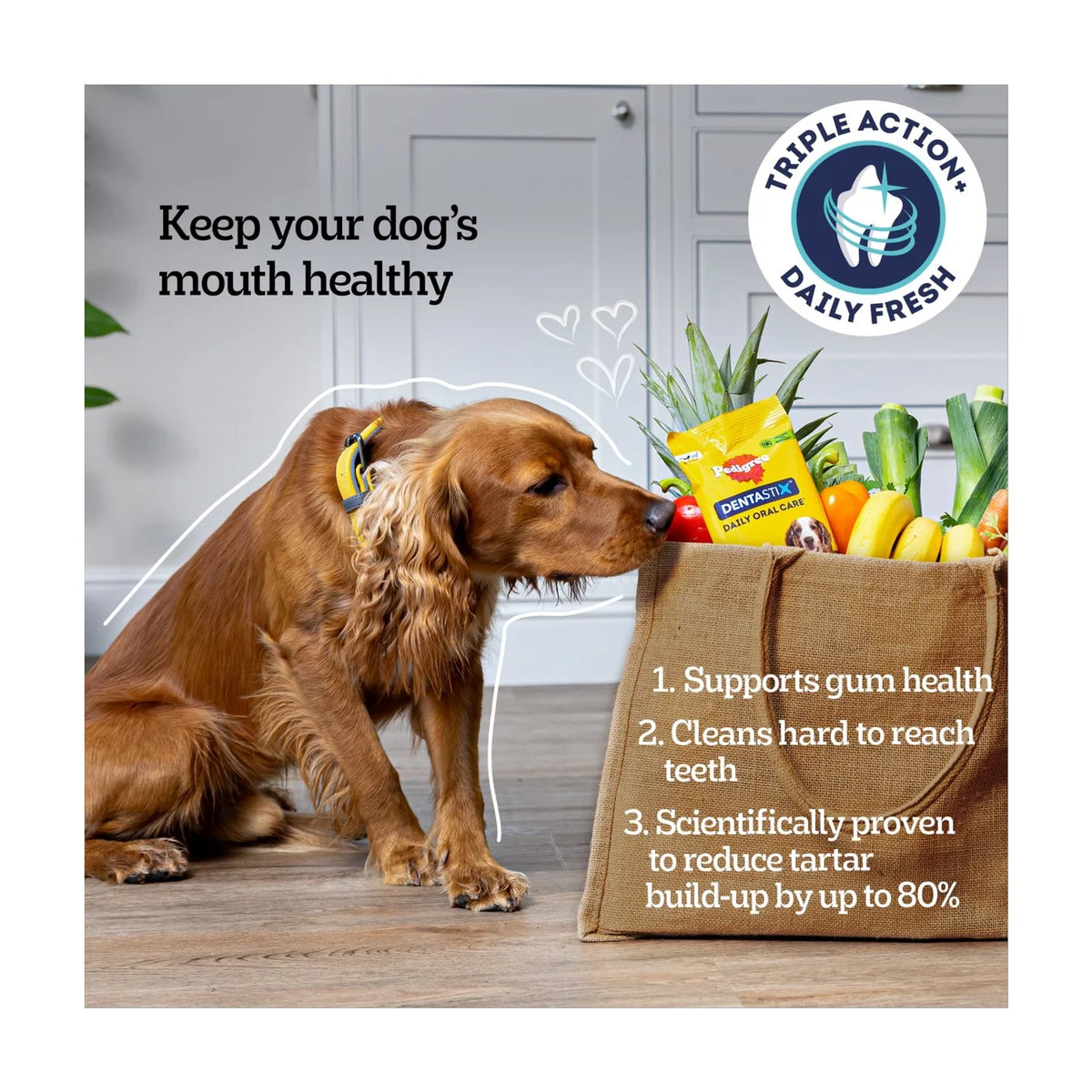 Pedigree Dentastix Fresh Adult Medium Dog Treats Dental Sticks 28 per pack