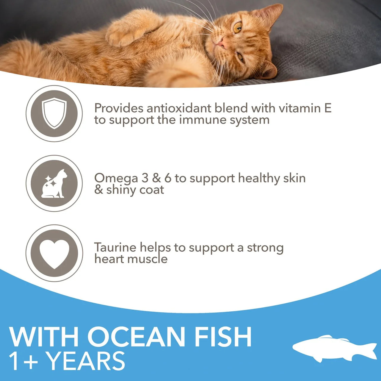 IAMS Advanced Nutrition Adult Cat Food Ocean Fish 800g