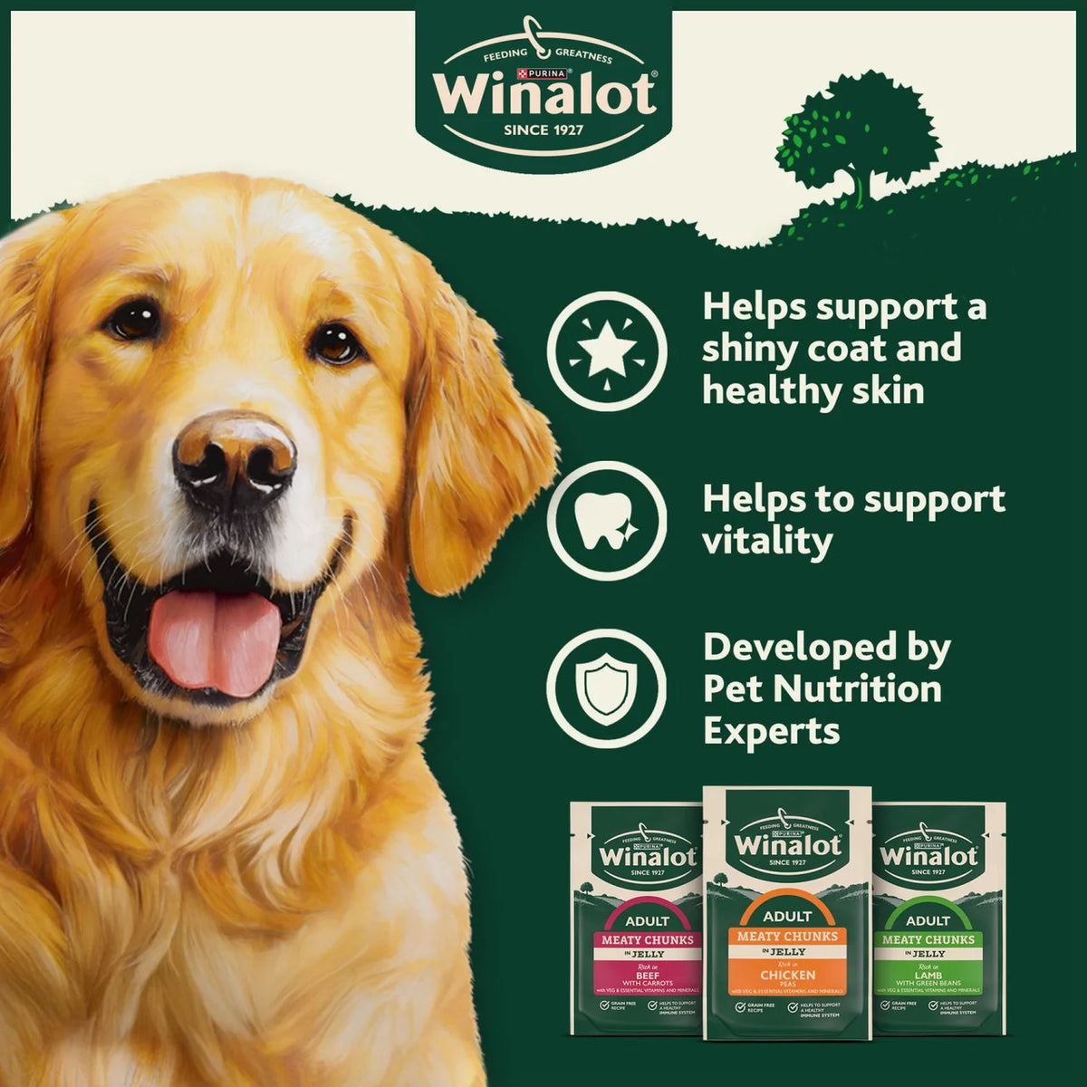 Winalot Meaty Chunks Mixed in Jelly Wet Dog Food 12 x 100g